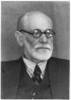 Sigmund Freud (1856-1939), padre del psicoanálisis. En 1938, tras la anexión de Austria por Hitler, hubo de exiliarse a Inglaterra, por ser de origen judío. Ampliar imagen
